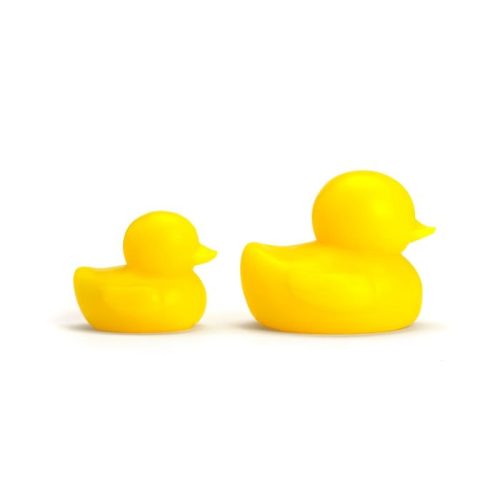 smallduck 8 1000px 1